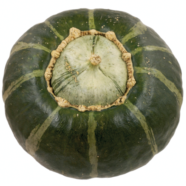 Buttercup Squash