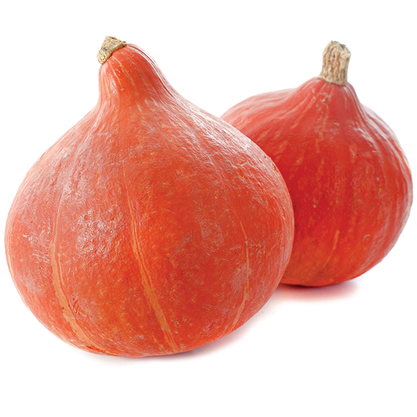 Red Kuri Squash