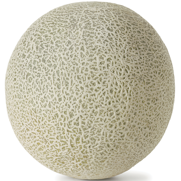 Persian Melon