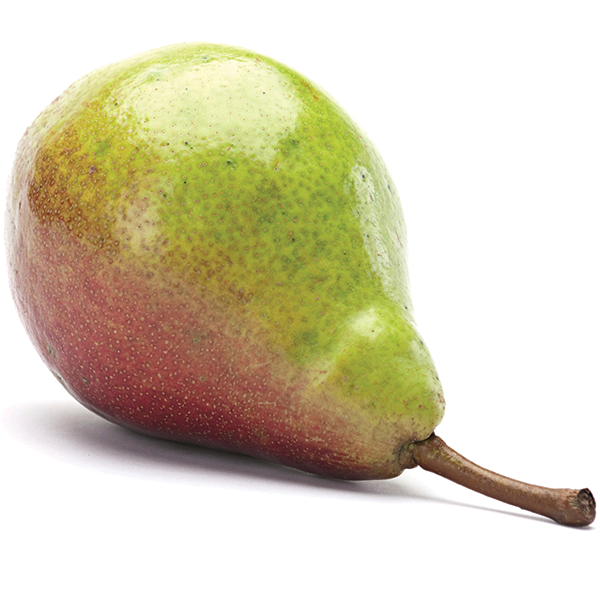 Seckel Pears