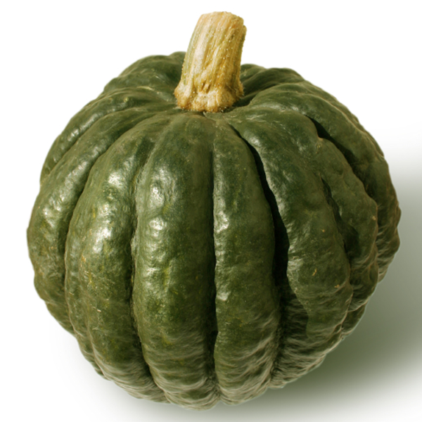 Kabocha Squash