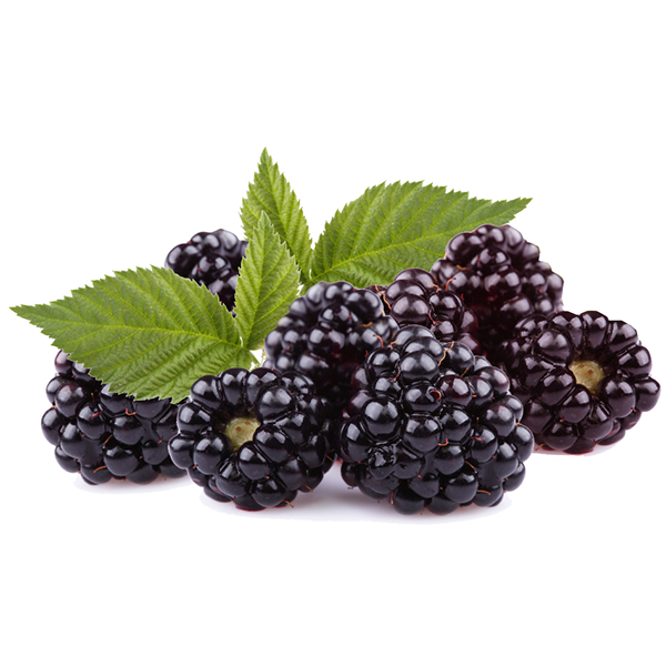 Boysenberries