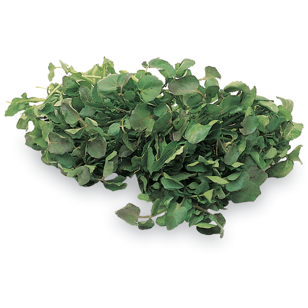 Watercress