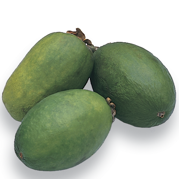 Feijoa