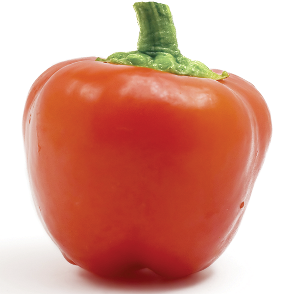 Mexi-bell Pepper