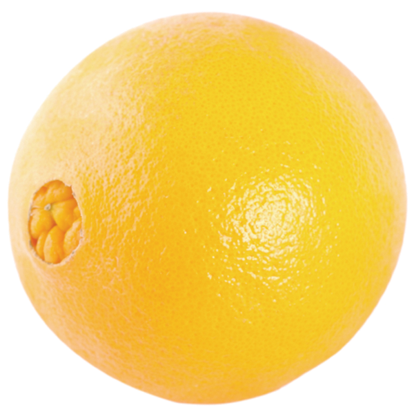 Chinese Navel Orange