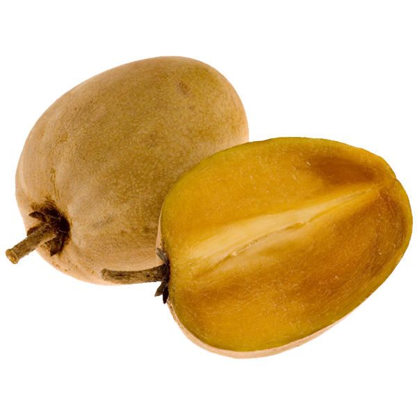 Sapodilla