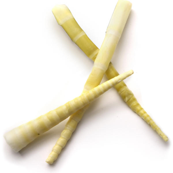 Bamboo Shoots