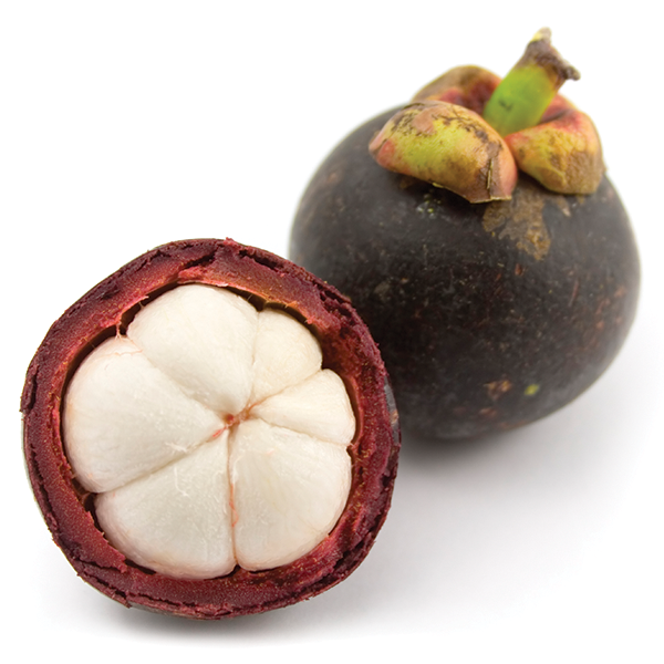 Mangosteen