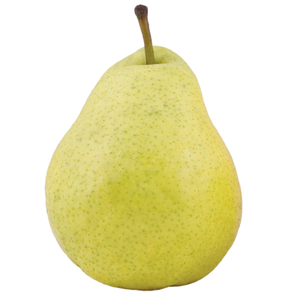 French Butter Pear