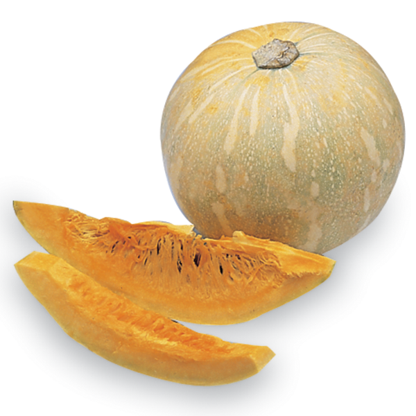 Calabaza