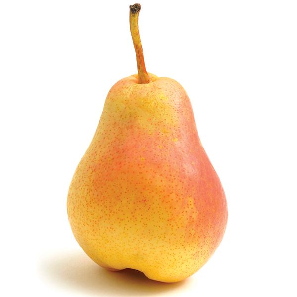 Produce Market Guide Pmg Forelle Pears 