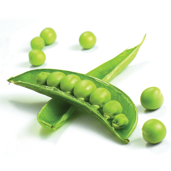 Sugar Snap Peas