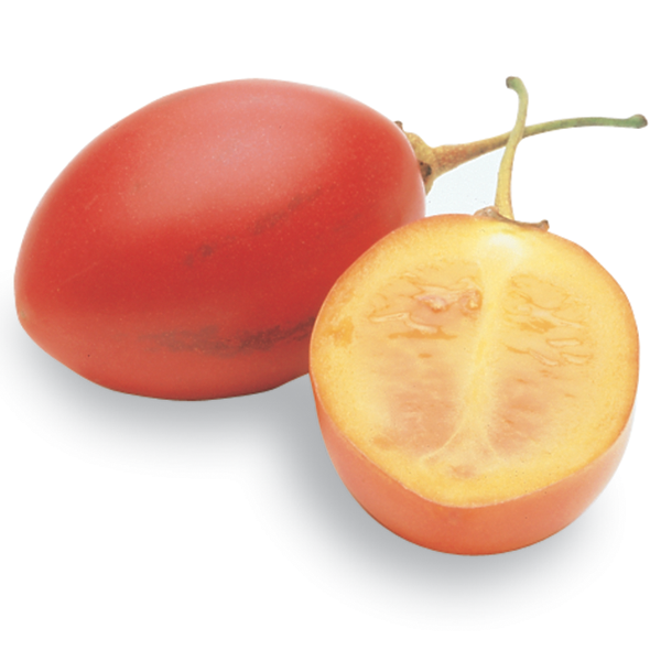 Red Tamarillo