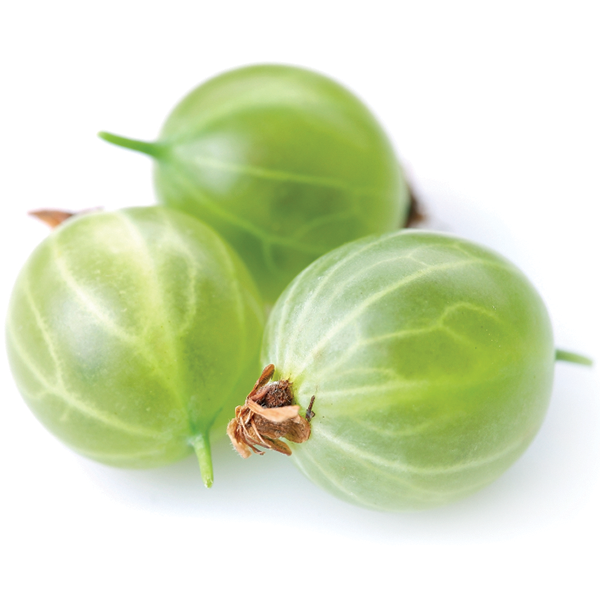 Gooseberries