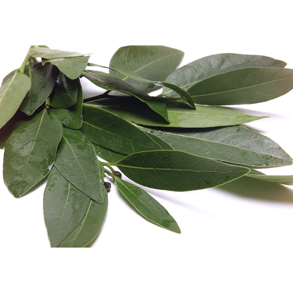 Bay Leaves