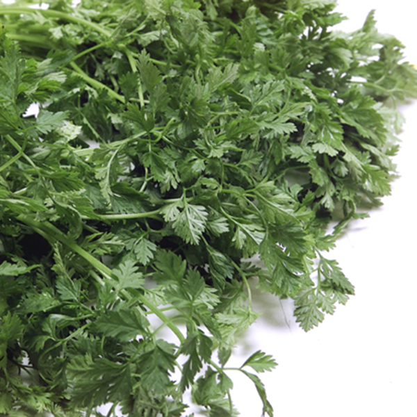 Chervil