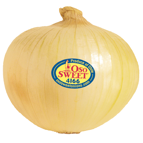 Chilean Sweet Onions