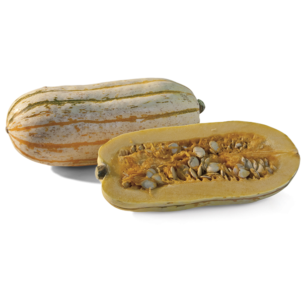 Delicata Squash