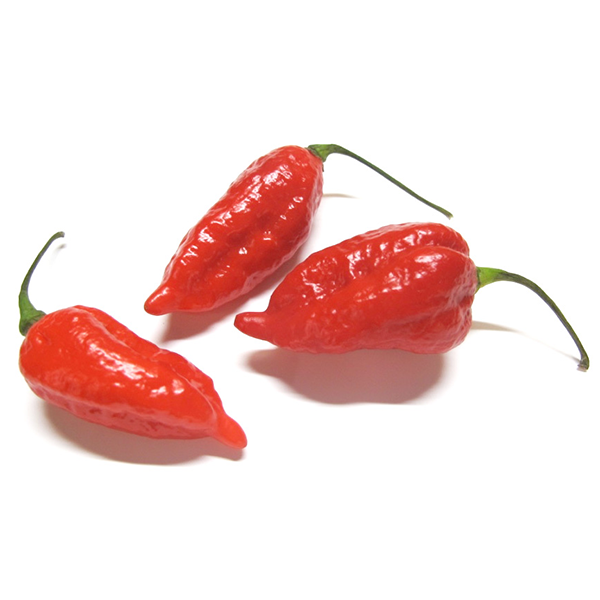 Ghost Peppers