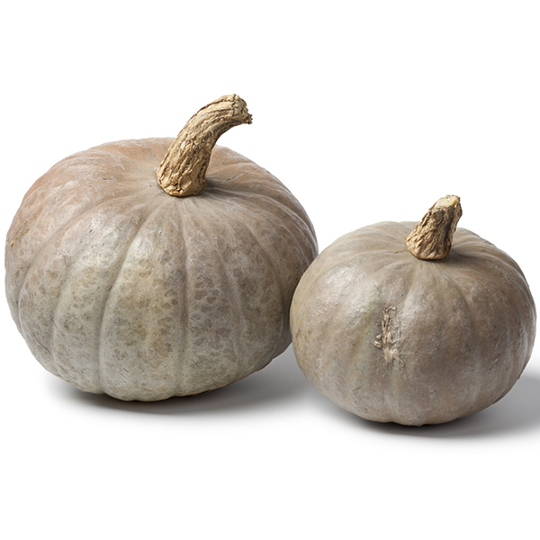 Hubbard Squash