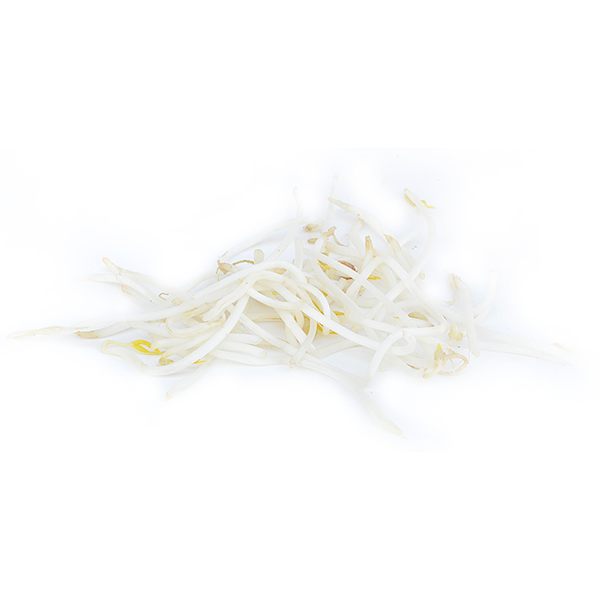 Mung Bean Sprouts