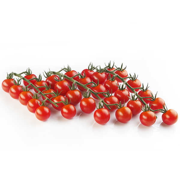 Red Cherry Tomatoes on the Vine