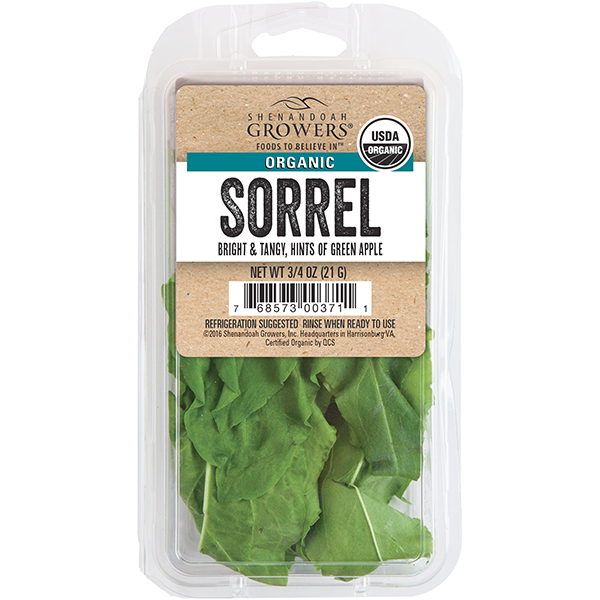 Sorrel