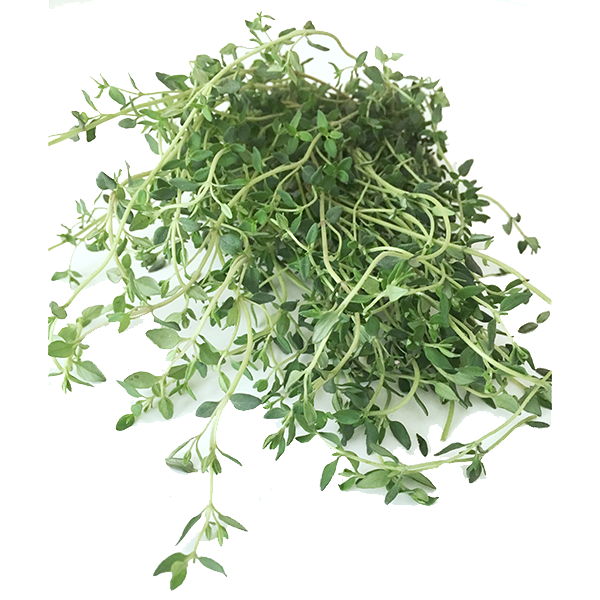 Thyme