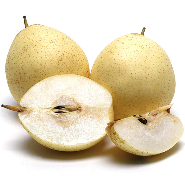 Yali Asian Pears